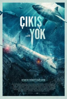 Çıkış Yok-No Way Up