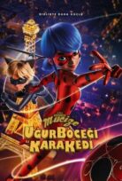 Mucize Uğur Böceği ve Kara Kedi