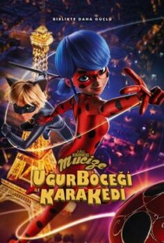 Mucize Uğur Böceği ve Kara Kedi