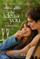 Sen İhtimali (The Idea of You)