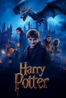 Harry Potter Lanetli Çocuk izle
