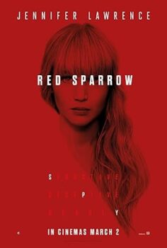 Kızıl Serçe Red Sparrow