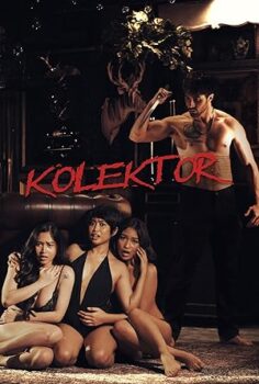 Kolektor Toplayıcı
