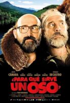 Hayvan Koruyucuları What’s a Bear For
