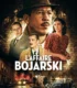 L’Affaire Bojarski 2026